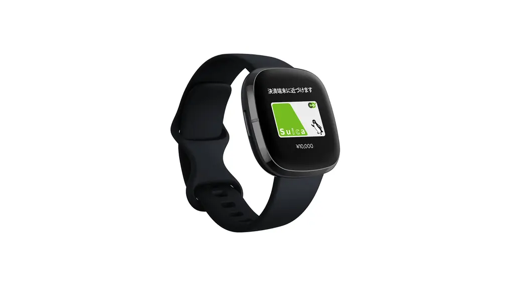 【Suica対応】Fitbit Sense スマートウォッチ カーボン/グラファイト [6日間以上のバッテリーライフ/Alexa搭載/GPS搭載]