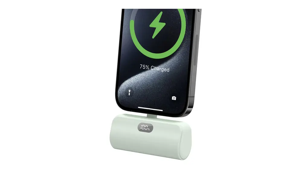 JVGoal モバイルバッテリー 5000mAh 超軽量小型 Type-C入力/出力 機内持ち込み可 旅行/防災/アウトドア用 PSE認証済 スマホ充電器 iPhone16/15/Android対応 (ライトグリーン)