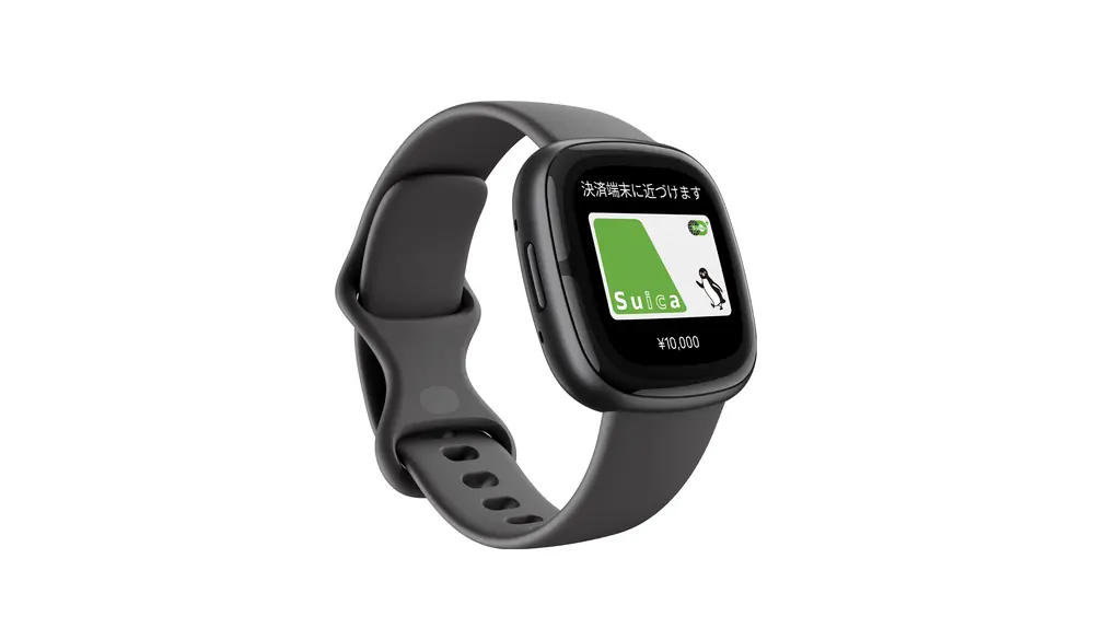 【Suica対応】Fitbit Sense 2スマートウォッチ シャドーグレー／グラファイト iPhone対応/アンドロイド対応/6日間以上のバッテリーライフ/Alexa搭載/GPS搭載/心拍計/睡眠スコア/ストレス計測 [日本正規品]