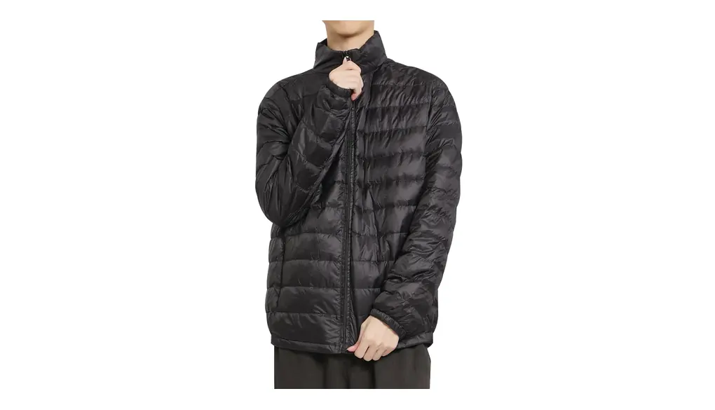[ＰＡＦＨＬ] ダウンジャケット メンズ ダウンコート 超軽量 ダウン 冬 防寒 服 暖かい コート ジャケット あったか コンパクト 薄手 男性用 立ち襟 スタントカラー ジッパー