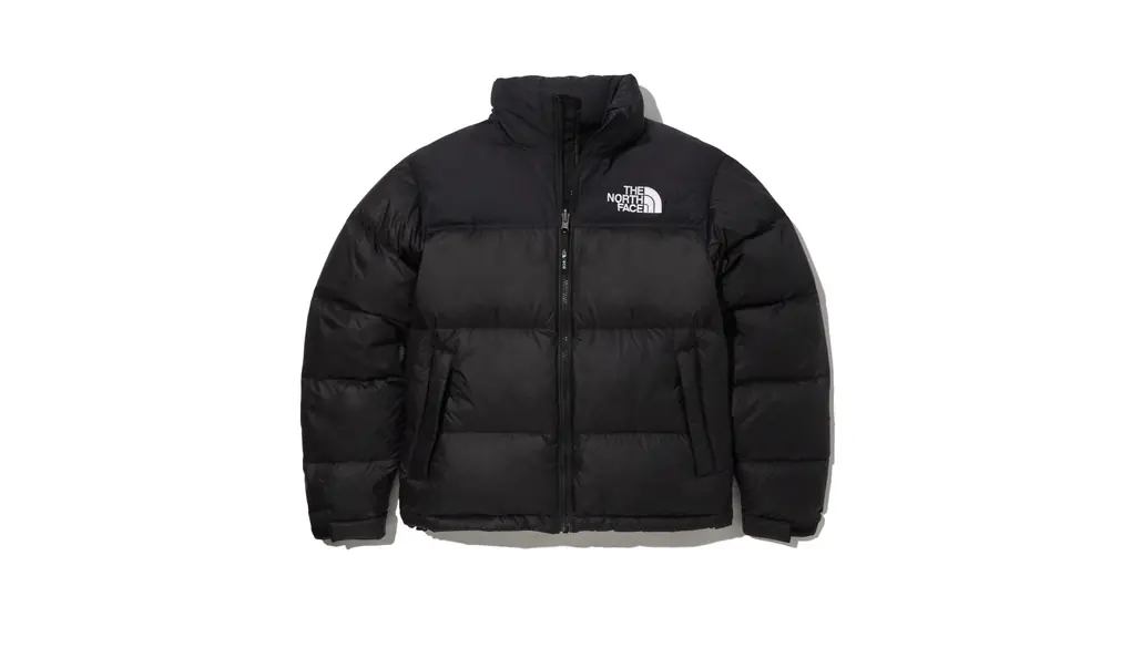 [ザノースフェイス] MEN'S 1996 ECO NUPTSE JACKET NJ1DN75ABLK [並行輸入品]