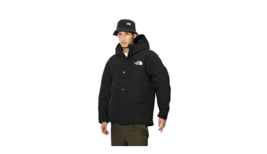 【冬を制する一着】THE NORTH FACE マウンテンダウンジャケット｜極寒対応GORE-TEX×上質ダウンの最強コンビ