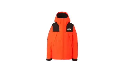 【究極の定番】THE NORTH FACE マウンテンジャケット NP61800｜雨も街も制す、GORE-TEXの頂点モデル