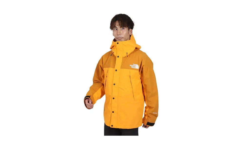 THE NORTH FACE ジャケットマウンテンライトジャケット NP62450メンズ