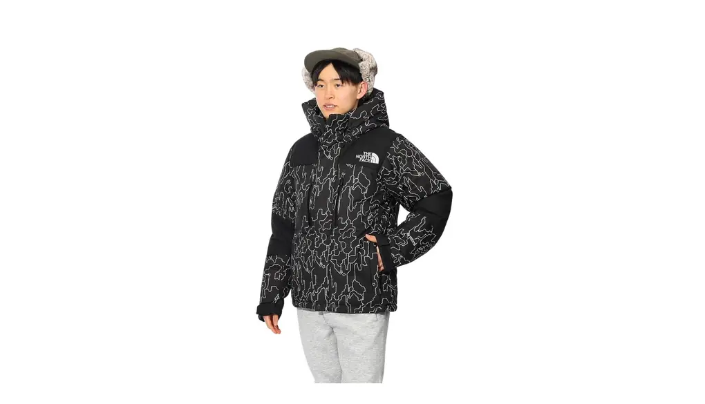 [ザノースフェイス] ダウン ジャケット ノベルティーバルトロライトジャケット ユニセックス 保温 防風 ブラックツリーバーク L