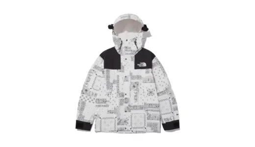 【GORE-TEXの頂点】THE NORTH FACE NOVELTY ECO GTX MOUNTAIN JACKET｜街も山も支配する“万能アウター”
