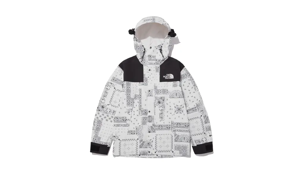 THE NORTH FACE NOVELTY ECO GTX MOUNTAIN JACKET ジャケット (100(L), SNOW WHITE(NJ2GN60C)) [並行輸入品]