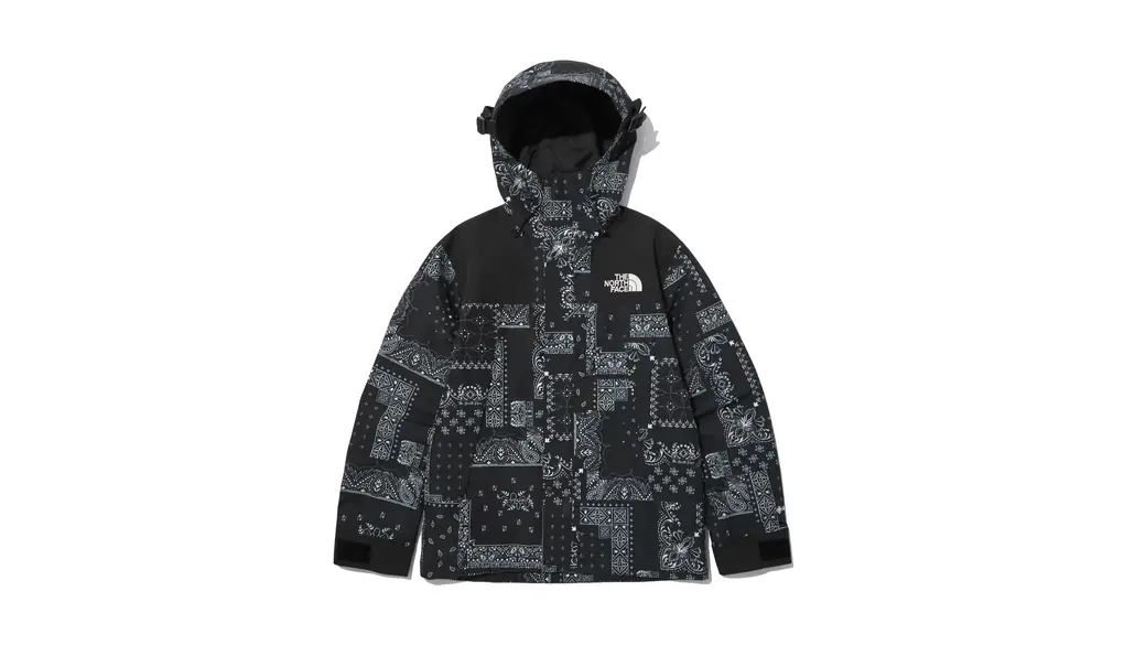 THE NORTH FACE NOVELTY ECO GTX MOUNTAIN JACKET ジャケット (100(L), MATT BLACK(NJ2GN60A)) [並行輸入品]
