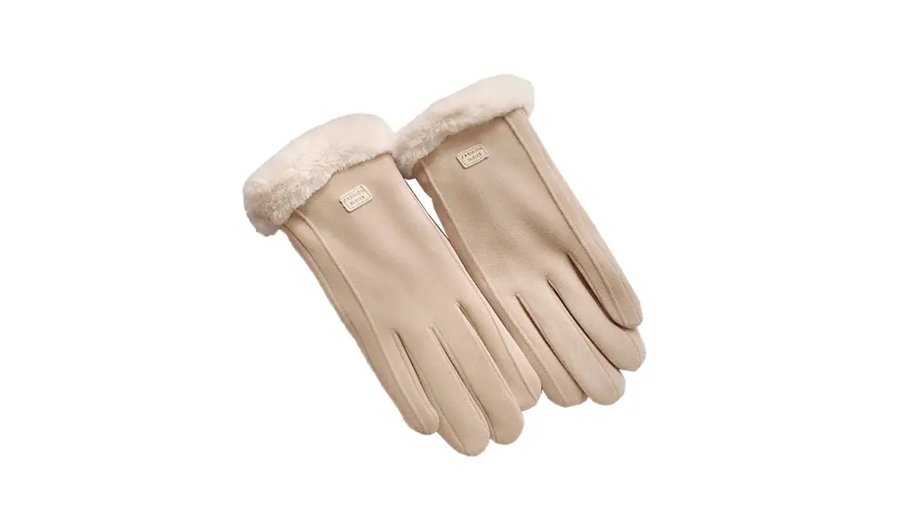 [DAYCLOSET] スマホ対応手袋 レディース ファー ボア 裏起毛 防寒 防風 暖かい 秋冬 glove133