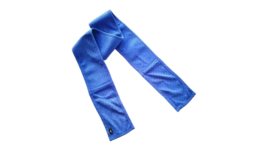 [ミズノ] クーリングアクセサリー ネッククーラー ひんやり感長持ち 暑さ対策 男女兼用 32JY9134 ブルー 日本 F (FREE サイズ)