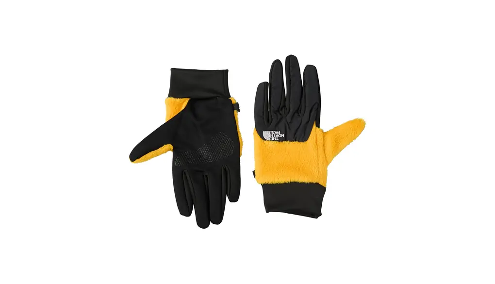 [THE NORTH FACE] [ザ・ノース・フェイス] 手袋 デナリイーチップグローブ ユニセックス フリース 防寒 スマホ タッチパネル対応